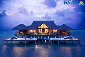 Отель Taj Exotica Resort & Spa 5*